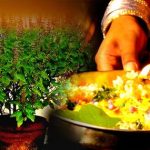 Tulsi Kota : కార్తీకమాసంలో తులసికోటకి పూజ చేస్తే లాభాలేంటో తెలుసా