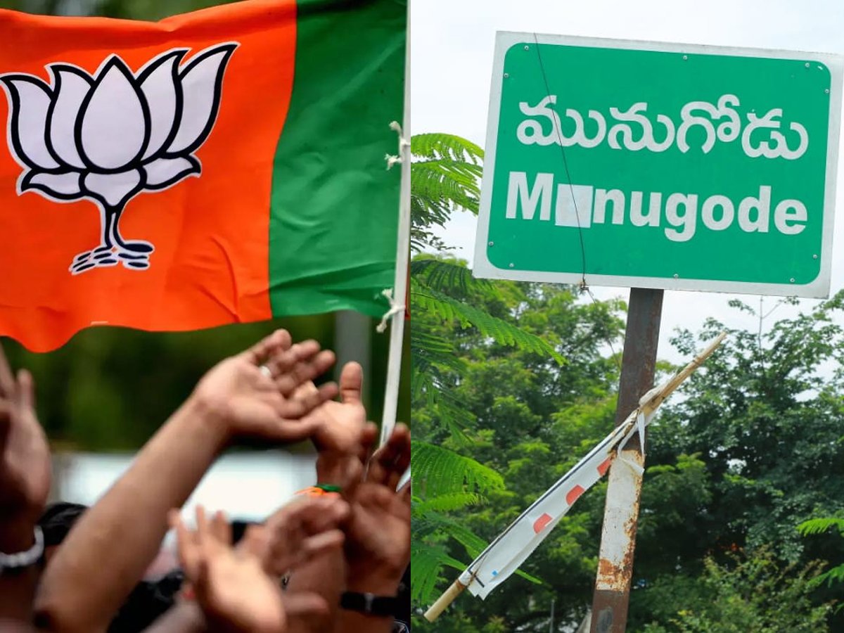 Munugode by Poll : చౌటుప్పల్, చండూరు.. బీజేపీ ఆశలు ఫసక్..