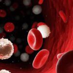 Blood Cancer : బ్లడ్‌ క్యాన్సర్‌ ఉంటే కనిపించే లక్షణాలు ఇవే