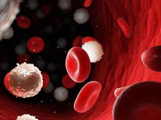 Blood Cancer : బ్లడ్‌ క్యాన్సర్‌ ఉంటే కనిపించే లక్షణాలు ఇవే