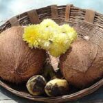 Coconut : పూజలో కొబ్బరికాయ కుళ్లితే మంచిదేనా..?