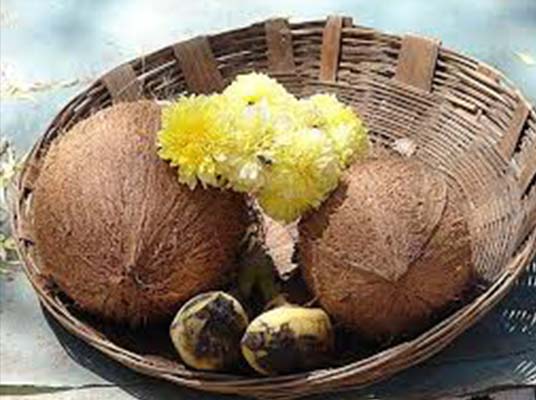 Amla Tree : మిగిలిన చెట్లకు జమ్మి చెట్టుకి తేడా అది ఒక్కటే…