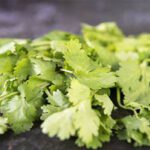 Health Benefits of Coriander : కొత్తిమీరతో బోలెడు ప్రయోజనాలు