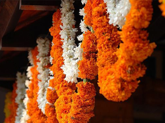 Dried Flowers : ఎండిన పువ్వుల్ని ఇంట్లో ఉంచితే అరిష్టమా….