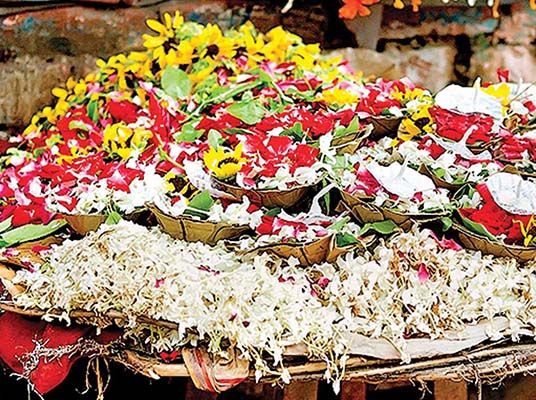 Ants : ఎలాంటి చీమలు ఇంట్లోకి వస్తే మంచిది…?