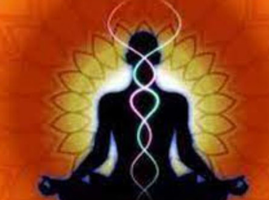 Karma yoga : కర్మ యోగి ఎవరు?