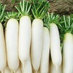 Radish : ముల్లంగితో పాటు ఇవి తింటే డేంజర్