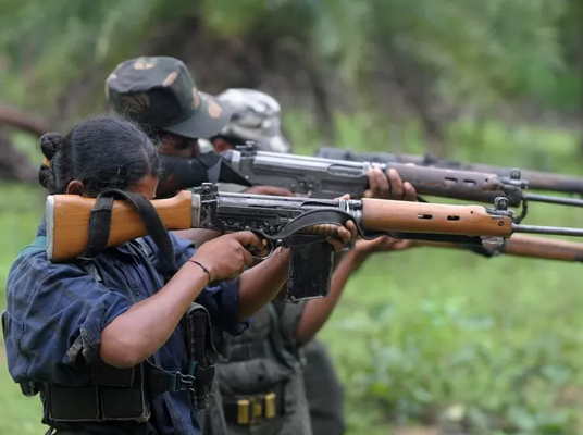 Palnadu : నకిలీ విత్తనాలతో నష్టపోయిన పల్నాడు రైతులు..