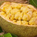 Jackfruit : ఈ పండు మాంసాహారానికి అసలైన ప్రత్యామ్నాయం