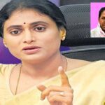 Sharmila: విష నాగు షర్మిల.. బుస్సుమన్న గులాబీ మహిళ..
