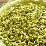 Health tips : మొల‌క‌లు ఇంట్లోనే తయారు చేసుకోవడం ఎలా?