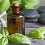 Tulsi Hair Oil : తులసి ఆకులతో ఇలా చేస్తే జుట్టును కాపాడుకోవచ్చు