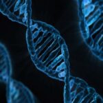 Oldest DNA reveals Greenland life 2 million years ago : గ్రీన్ లాండ్ లో బయటపడిన 20 లక్షల ఏళ్లనాటి అత్యంత పురాతన డీఎన్ఏ