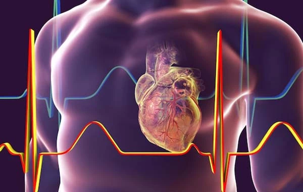 Prevent Heart Risks : మీ గుండె ఆగిపోనుంది… జాగ్రత్తపడండి! ముందే హెచ్చరించే టూల్