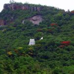 Tirupati: తిరుపతి ఏడు కొండలు ప్రత్యేకతలు