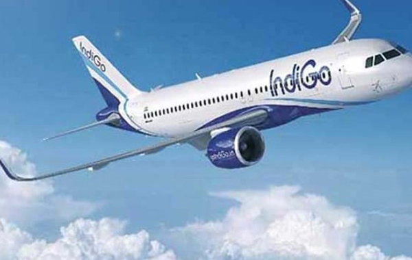 Indigo : విమానం ఎమర్జెన్సీ డోర్ తెరచేందుకు ప్రయత్నం.. ప్రయాణికుడు అరెస్ట్..