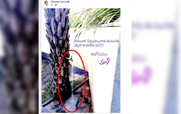 Tap: ఏకంగా ఈత చెట్టుకే కుళాయి పెట్టేశాడు!