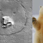 Bear Face on Mars:మార్స్‌పై ఎలుగుబంటి ఆకారం..! కెమెరాలో రికార్డ్..