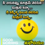 నీ చిరునవ్వు మాత్రమే తెలిసిన మిత్రునికన్నా