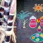 Black sugar cane for Sankranti:-  సంక్రాంతికి నల్ల చెరకు సెంటిమెంట్