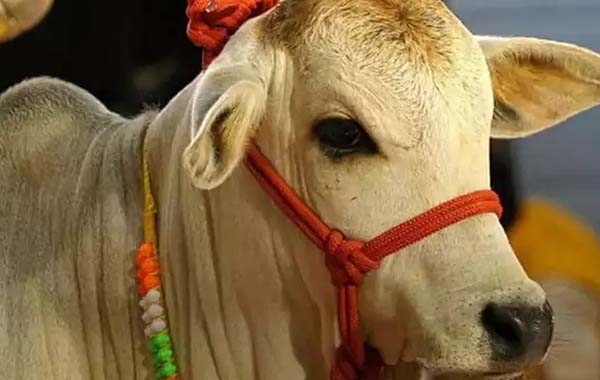 Team India : హుడా మెరుపులు..మావి మాయాజాలం..ఉత్కంఠ పోరులో భారత్ గెలుపు..