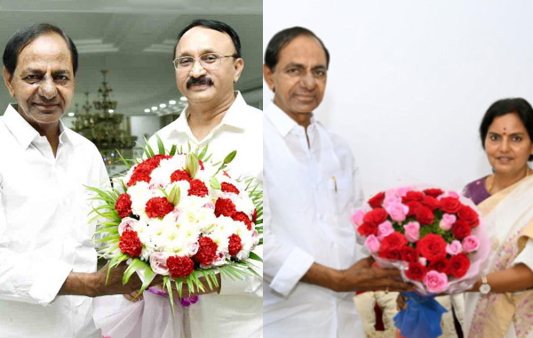 Veera Simha Reddy Collections: బాక్సాఫీస్‌ని షేక్ చేసిన ‘వీర సింహా రెడ్డి’.. ఫస్ట్ డే కలెక్ష‌న్స్‌