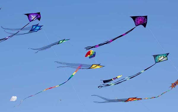 Sankranti Celebrations: సంక్రాంతి సంబరంలో గాలి పటాలు తెచ్చే లాభాలు