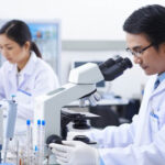 Read Brain Activity:మెదడు కదలికలను గుర్తించే మైక్రోస్కోప్..