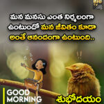 మన మనసు ఎంత నిర్మలంగా ఉంటుందో