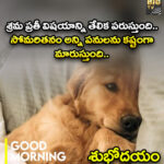 శ్రమ ప్రతీ విషయాన్ని తేలిక పరుస్తుంది