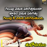 February 20, గెలుపు వెనుక పరిగెత్తకుండా