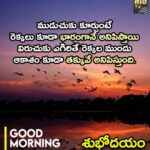 ముడుచుకు కూరుచుంటే రెక్కలు కూడా …