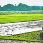 Agriculture : వ్యవసాయంలో నీటి సమస్యకు చెక్..!