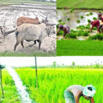 Budget : రైతులను ఆకర్షించడమే లక్ష్యం.. బడ్జెట్ లో సాగురంగానికి భారీగా నిధులు..