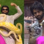 Vijay Devarakonda: పులితో తాడాట.. పాములతో సయ్యాట.. రౌడీ హీరో వైరల్ వీడియో..