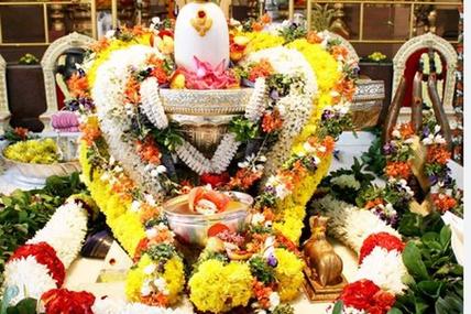 Nagamalli Flower : భోళాశంకరుడు మెచ్చిన నాగమల్లి పుష్పం