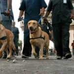 SNIFFER DOGS: తెలంగాణ పోలీస్ శాఖలోకి కొత్తగా 36 స్నిఫర్ డాగ్స్