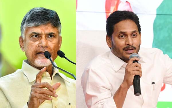 Brain : బ్రెయిన్‌లో కీలక భాగాన్ని కనుగొన్న శాస్త్రవేత్తలు