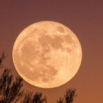 Moon:చంద్రుడికి నైవేద్యం ఇచ్చే ఫలితాలు