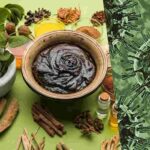 Plants: కోవిడ్ నుండి కాపాడే చెట్లు.. పరిశోధనలు మొదలు..