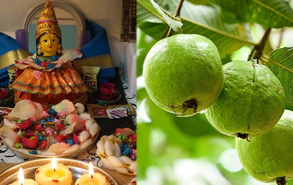 Guava:జామపండు నైవేద్యం పెట్టారా..!