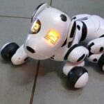 Robot :మార్కెట్లోకి కొత్త ‘రైబో’.. ప్రత్యేకత ఏంటంటే..?