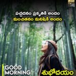 పచ్చదనం ప్రకృతికి అందం