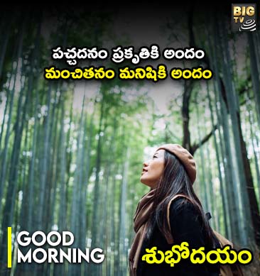 IND vs AUS: తొలి వన్డేలో ఆసీస్‌పై టీమిండియా గ్రాండ్ విక్టరీ