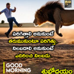 పరిగెత్తాలి అనుకుంటే తరుముకుంటూ పరిగెత్తు…