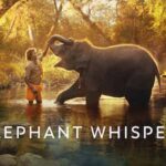 Oscar Award: ఆస్కార్ లో మెరిసిన భారత్.. ‘ది ఎలిఫెంట్‌ విష్పరర్స్‌’కు అవార్డు..