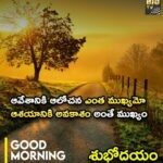 ఆవేశానికి ఆలోచన ఎంత ముఖ్యమో