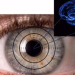 Alzheimer’s : కళ్లను చూసి అల్జీమర్స్‌ను కనిపెట్టవచ్చు..!