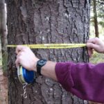 Trees measurements:-చెట్ల కొలతను సులభంగా తెలుసుకోగలిగే యాప్..