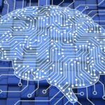 Brain Mapping : కీలకమైన బ్రెయిన్ మ్యాపింగ్ సక్సెస్..